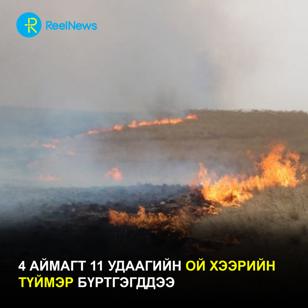 Ой, хээрийн түймэрт 18.880 га газар өртөөд байна