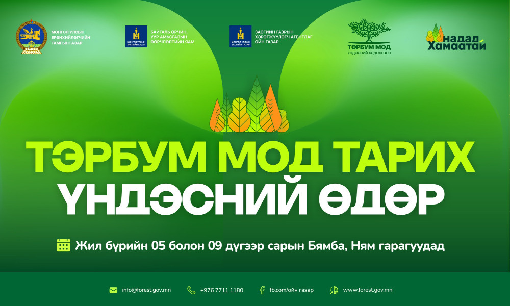 Жил бүрийн 5 болон 9-р сарын Бямба, Ням гарагуудыг "Тэрбум мод тарих үндэсний өдөр" болгон зарлалаа