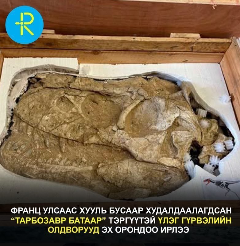 ФРАНЦ УЛСААС ХУУЛЬ БУСААР ХУДАЛДААЛАГДСАН “ТАРБОЗАВР БАТААР” ТЭРГҮҮТЭЙ ҮЛЭГ ГҮРВЭЛИЙН ОЛДВОРУУДЫГ ЭХ ОРОНДОО АВЧИРЛАА
