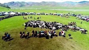 "Арвагар хээр" адууны баярыг цуцаллаа