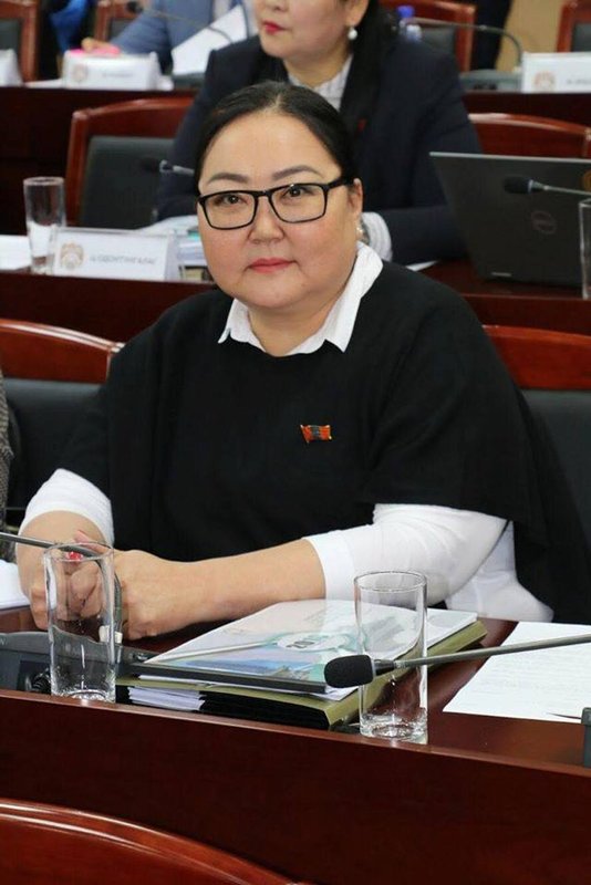 "Шунхлай"-н төлөөлөгч П.Батчимэг гишүүн шатахууны хомсдолд төрийг буруутгав